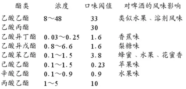 精酿啤酒设备,啤酒厂设备,开办啤酒厂,发酵，锥形罐